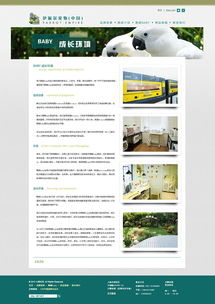 打造人与爱宠的温馨港湾 宠物用品网站设计新思维